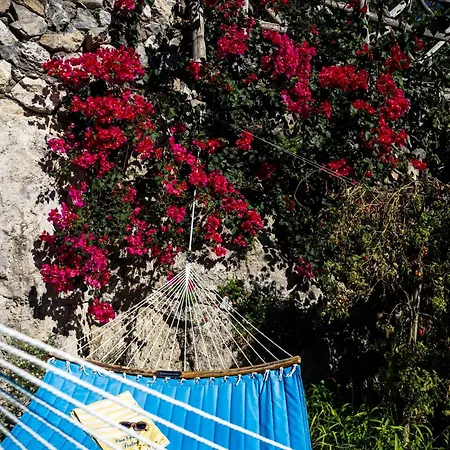 Petrea Lifestyle Maison d'hôtes 4*